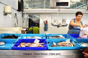 011- Calpe - Port